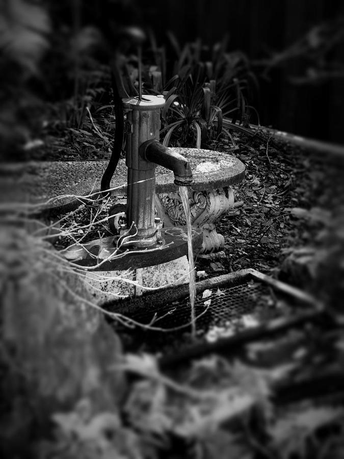 Enchanted Escape Picton Luaran gambar