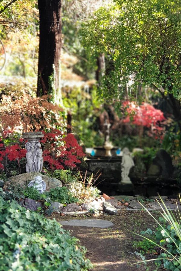 Enchanted Escape Picton Luaran gambar