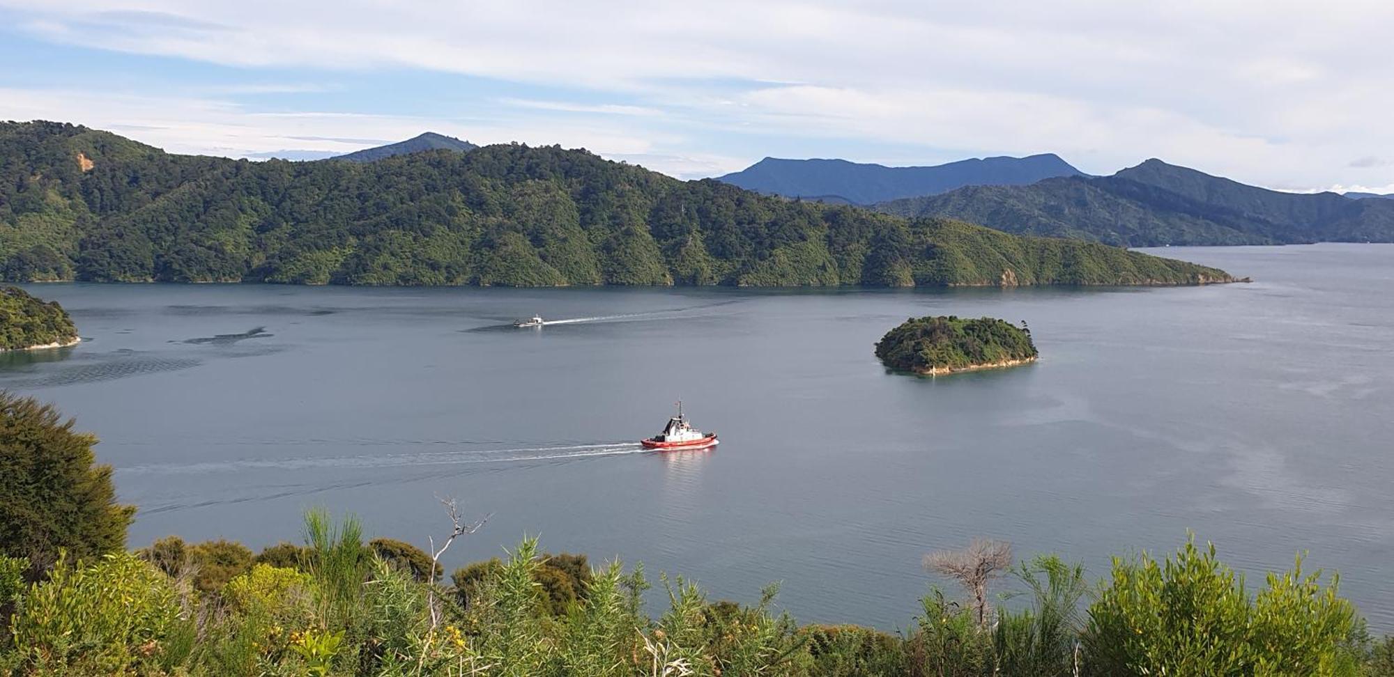 Enchanted Escape Picton Luaran gambar